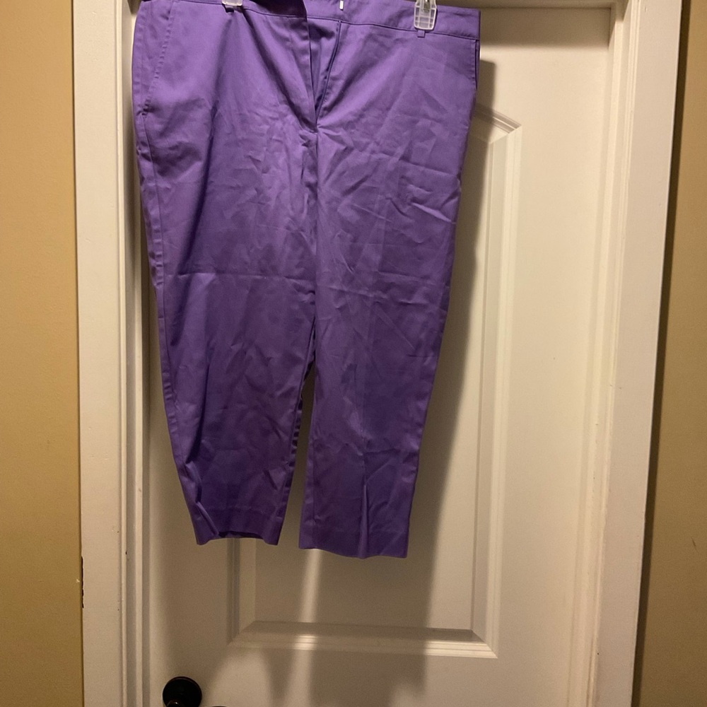 Capri Pants - Picture 2 of 2